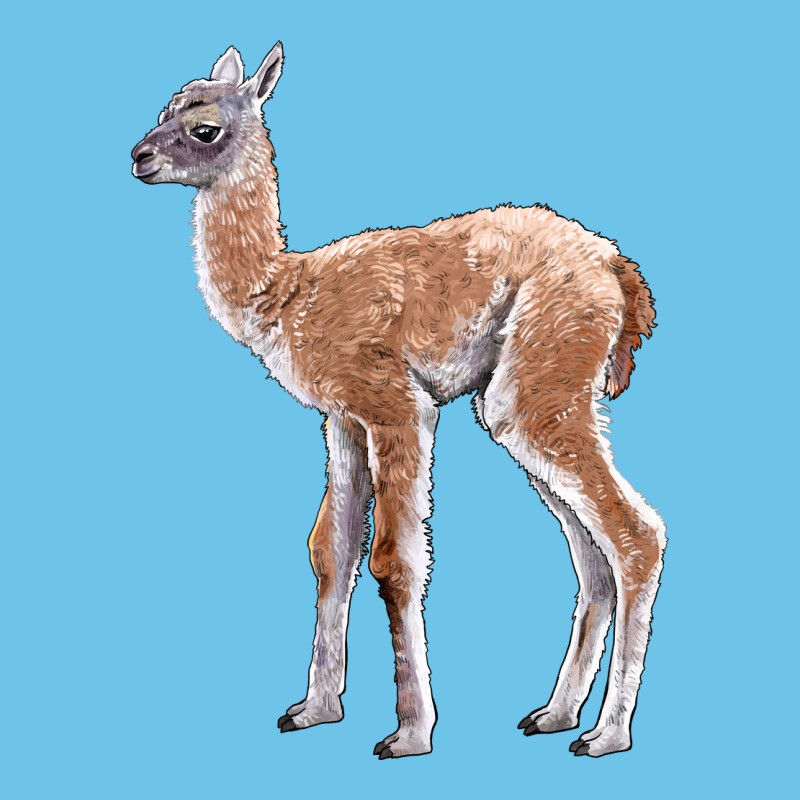 Guanaco Llama Baby Premium Sweatshirt by LillyAllenDesigns | Teevron