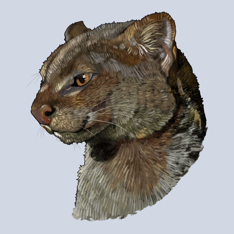Jaguarundi Head Premium Sweatshirt by LillyAllenDesigns | Teevron