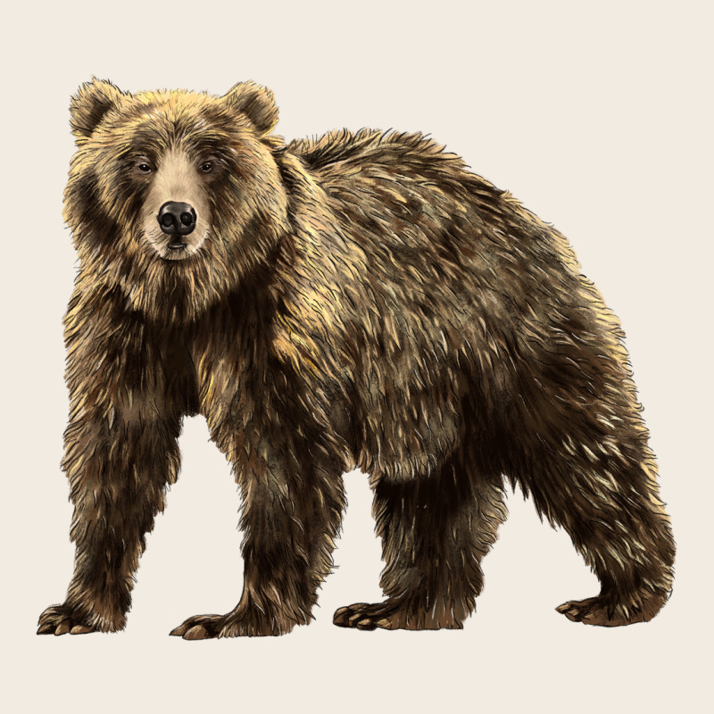Brown Bear Premium Sweatshirt by LillyAllenDesigns | Teevron