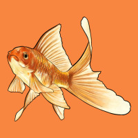 Goldfish Premium Sweatshirt | Teevron
