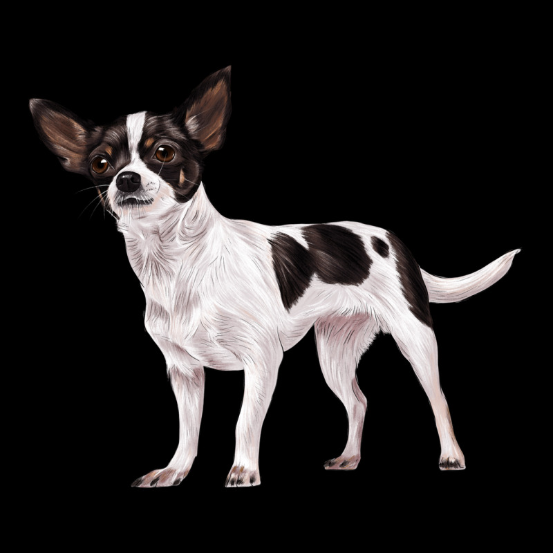 Chihuahua Zipper Hoodie by LillyAllenDesigns | Teevron