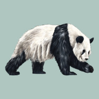 Walking Panda Premium Sweatshirt | Teevron