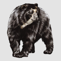 Spectacled Bear Premium Sweatshirt | Teevron