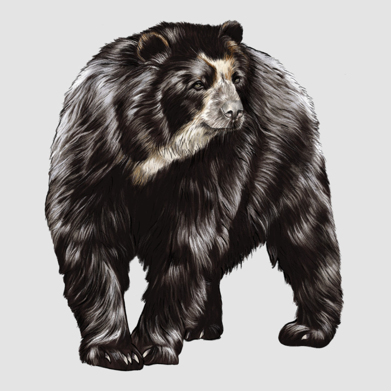 Spectacled Bear Premium Sweatshirt by LillyAllenDesigns | Teevron