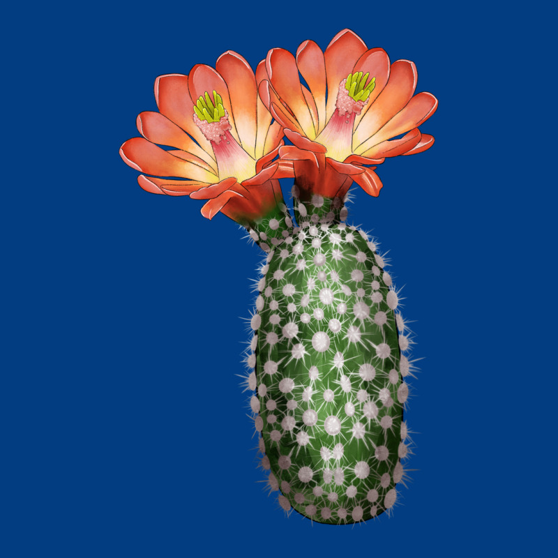King Cup Cactus Premium Sweatshirt by LillyAllenDesigns | Teevron