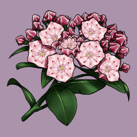 Mountain Laurel Flower Illustrations Heavyweight Hoodie | Teevron