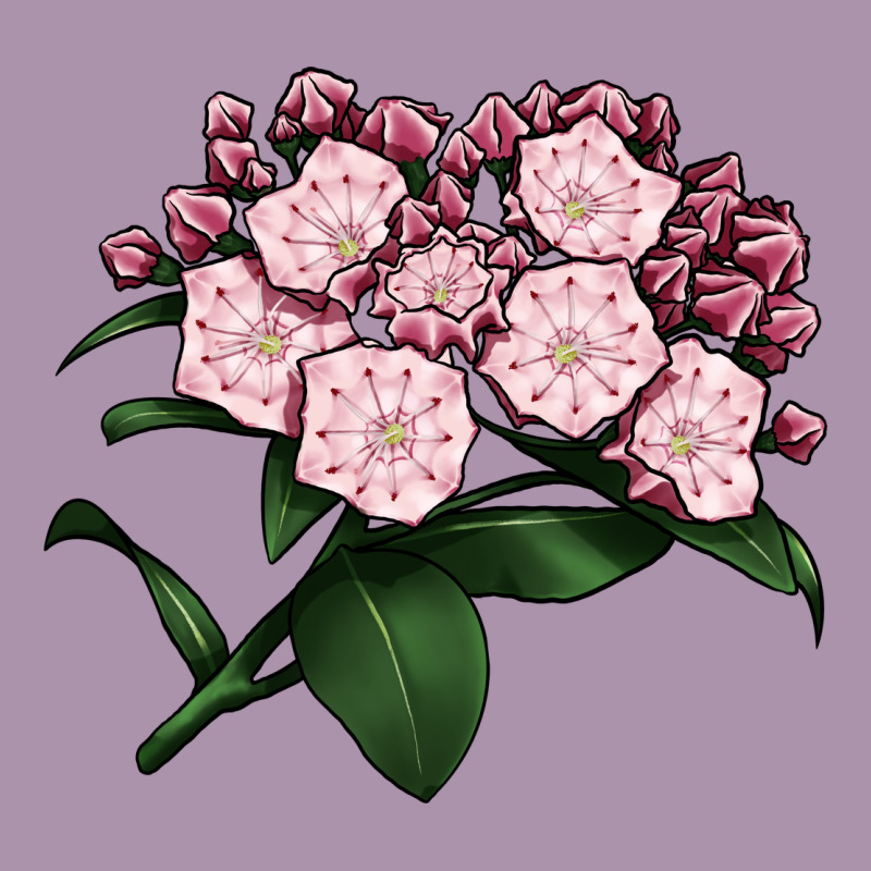 Mountain Laurel Flower Illustrations Heavyweight Hoodie by LillyAllenDesigns | Teevron