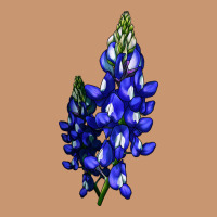 Bluebonnet Flower Illustrations Heavyweight Hoodie | Teevron