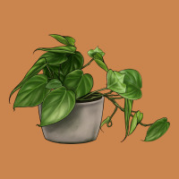 Philodendron Heavyweight Hoodie | Teevron