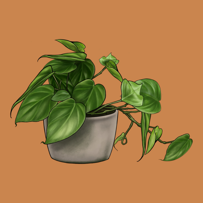 Philodendron Heavyweight Hoodie by LillyAllenDesigns | Teevron