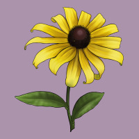 Black Eyed Susan Flower Illustrations Heavyweight Hoodie | Teevron
