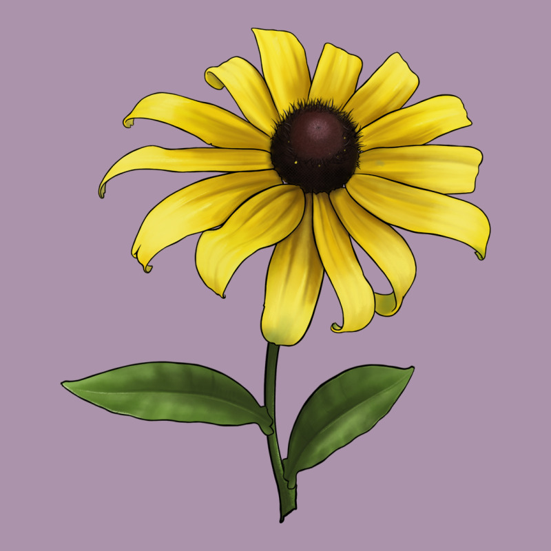 Black Eyed Susan Flower Illustrations Heavyweight Hoodie by LillyAllenDesigns | Teevron