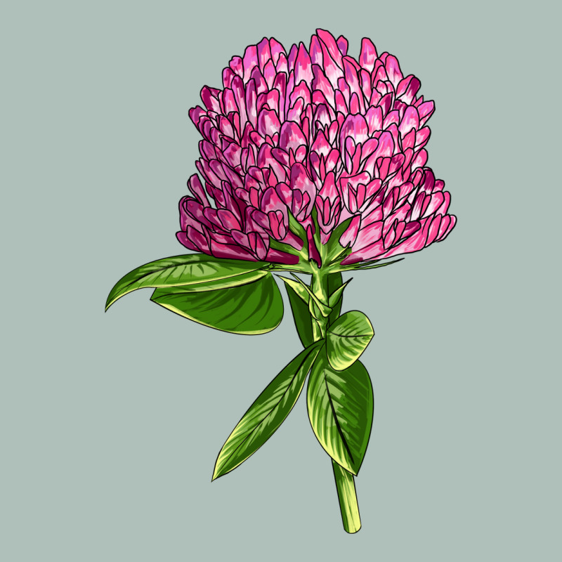 Red Clover Illustrations Heavyweight Hoodie by LillyAllenDesigns | Teevron