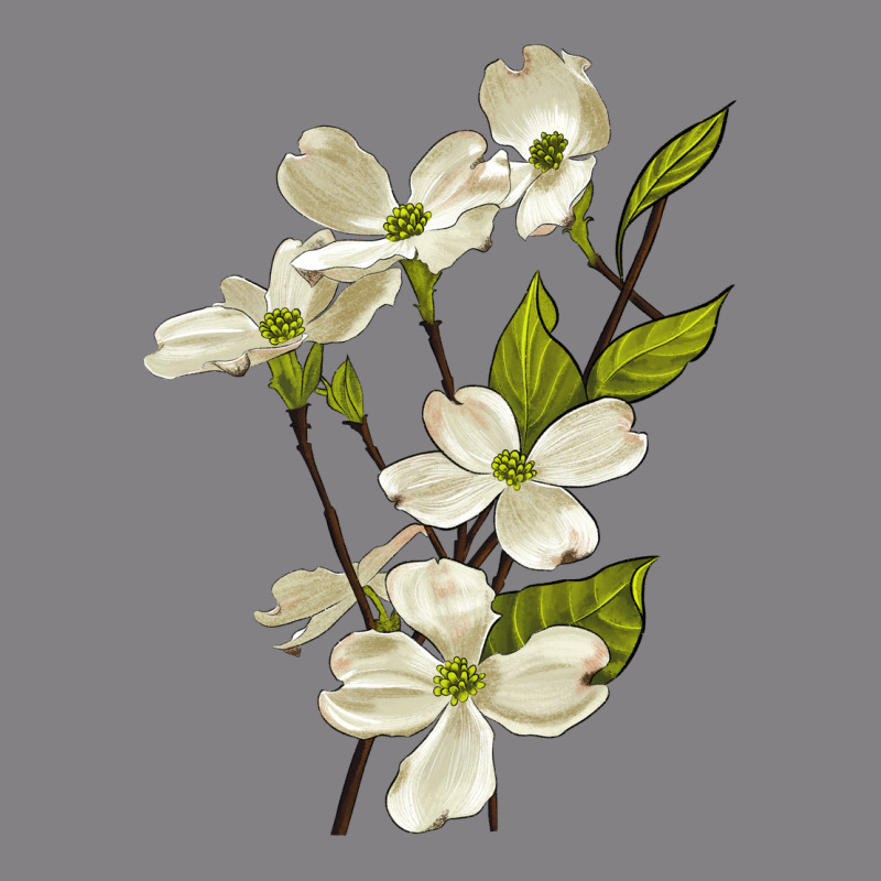 American Dogwood Flower Illustrations Heavyweight Hoodie by LillyAllenDesigns | Teevron