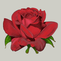 Oklahoma Rose Illustrations Heavyweight Hoodie | Teevron