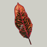Croton Leaf Heavyweight Hoodie | Teevron