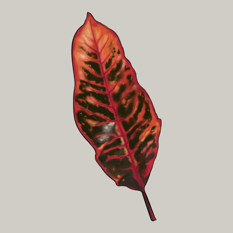 Croton Leaf Heavyweight Hoodie by LillyAllenDesigns | Teevron