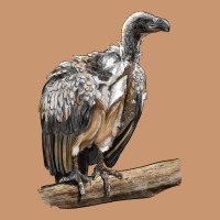 Vulture Bird Heavyweight Hoodie | Teevron