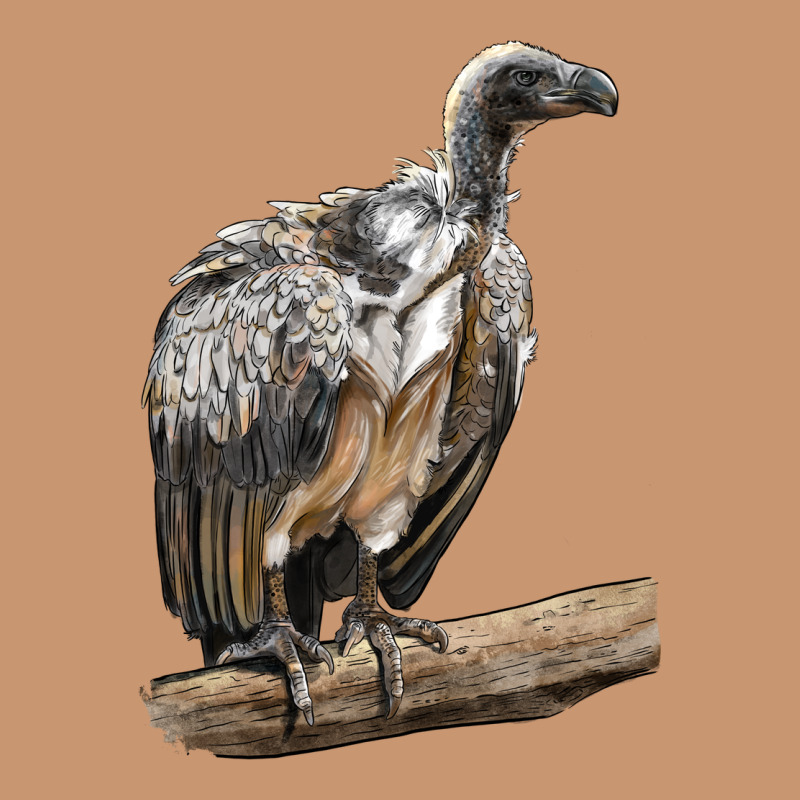 Vulture Bird Heavyweight Hoodie by LillyAllenDesigns | Teevron