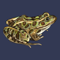 Northern Leopard Frog Heavyweight Hoodie | Teevron