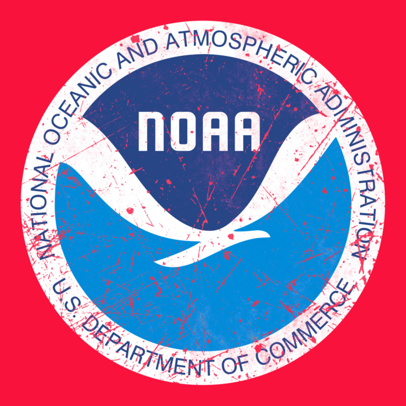 Noaa Vintage Design Classic Tee by tuanDangUi | Teevron