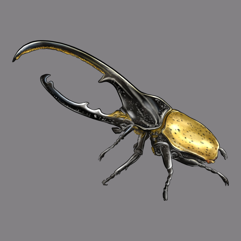 Hercules Beetle Side Heavyweight Hoodie by LillyAllenDesigns | Teevron