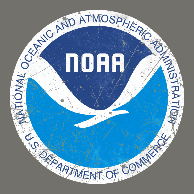 Noaa Vintage Design Premium Hoodie by tuanDangUi | Teevron