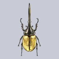 Hercules Beetle Heavyweight Hoodie | Teevron