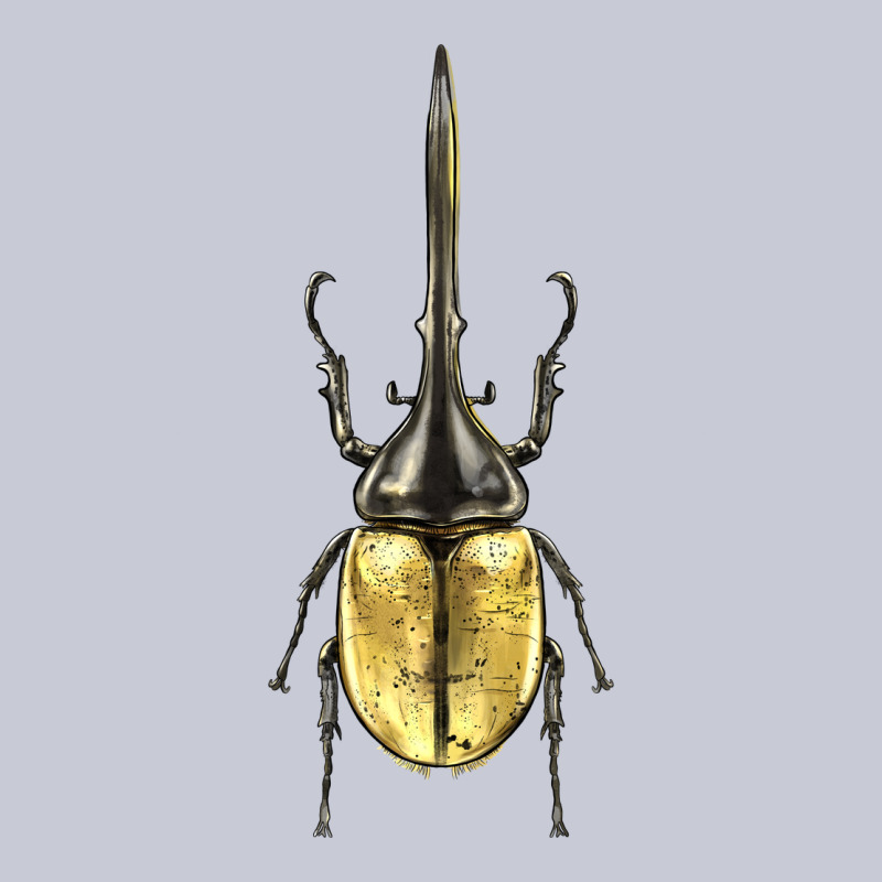 Hercules Beetle Heavyweight Hoodie by LillyAllenDesigns | Teevron