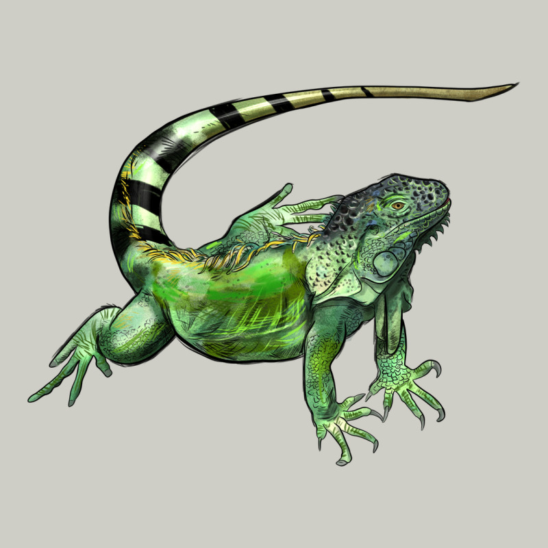 İguana Heavyweight Hoodie by LillyAllenDesigns | Teevron