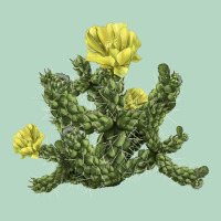 Whipple Cholla Cactus Classic Tee | Teevron
