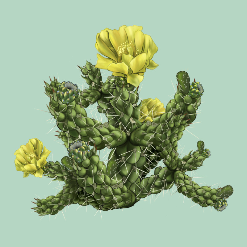 Whipple Cholla Cactus Classic Tee by LillyAllenDesigns | Teevron