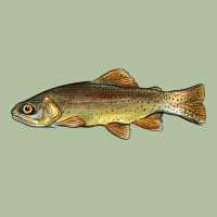 Arizona Apache Trout Fish Urban Hoodie | Teevron