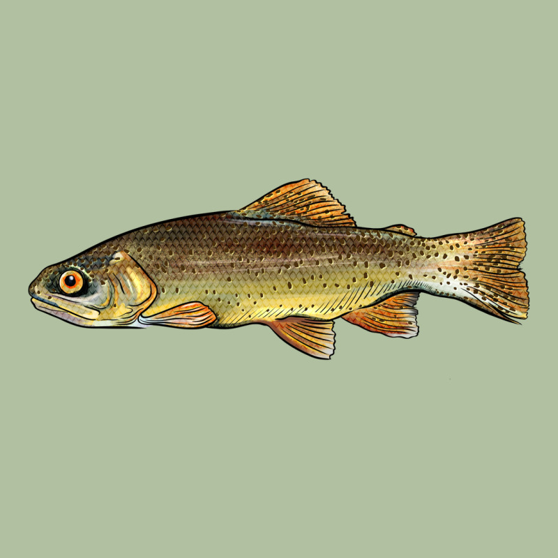 Arizona Apache Trout Fish Urban Hoodie by BarkalooDesign | Teevron