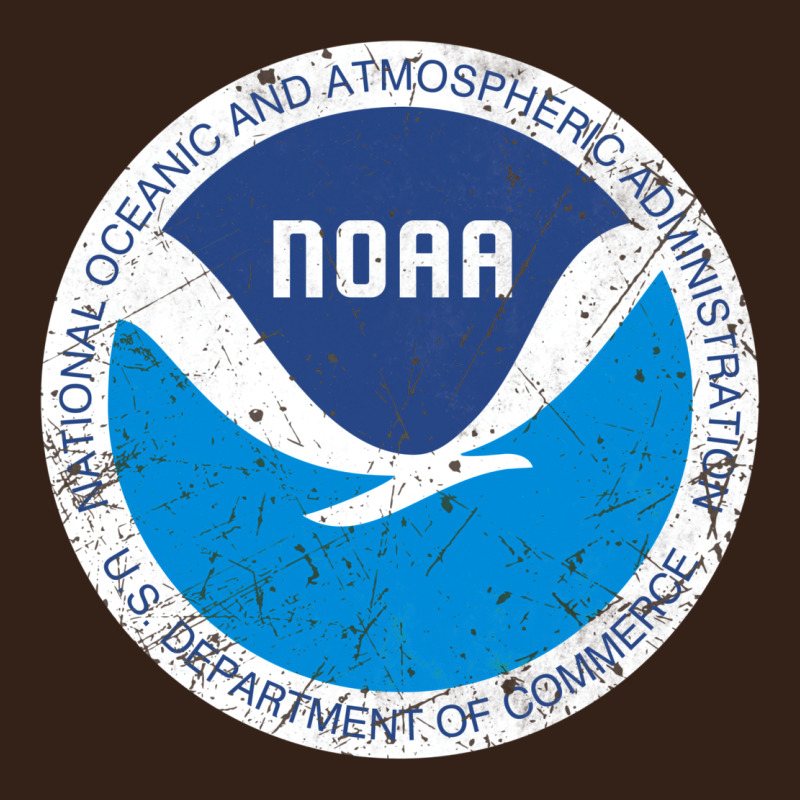 Noaa Vintage Design Heavy Core Tee by tuanDangUi | Teevron