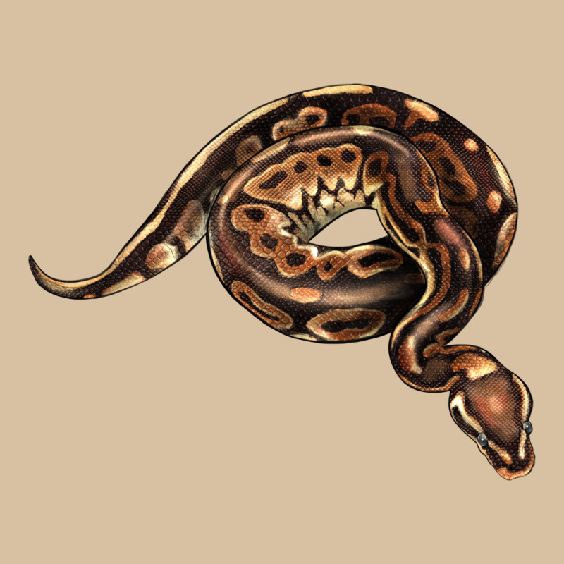 Royal Ball Python Illustrations Heavyweight Hoodie by LillyAllenDesigns | Teevron