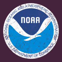 Noaa Vintage Design Premium Tee | Teevron