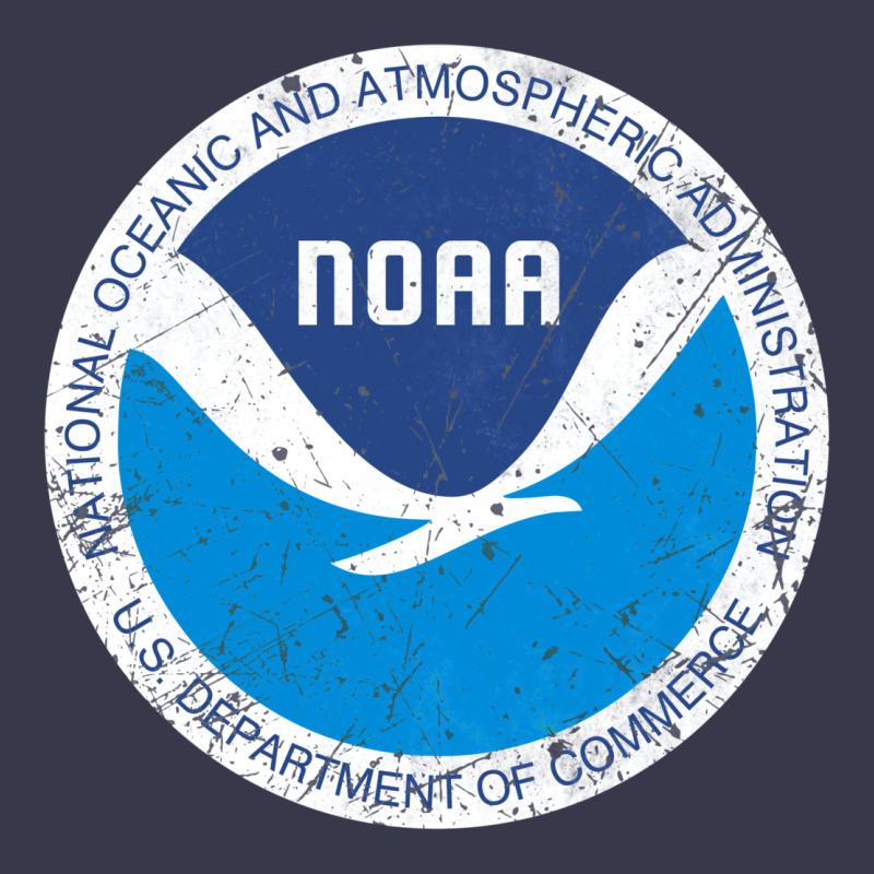 Noaa Vintage Design Long Sleeve Tee by tuanDangUi | Teevron