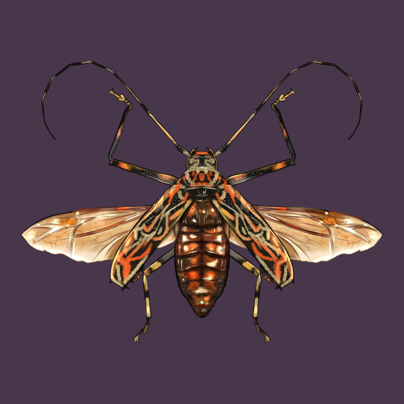 Acrocinus Beetle With Wings Heavyweight Hoodie by LillyAllenDesigns | Teevron