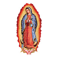 our lady of guadalupe virgin mary | Teevron