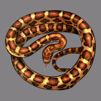 Corn Snake Illustrations Heavyweight Hoodie | Teevron