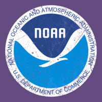 Noaa Vintage Design Vintage Hoodie | Teevron