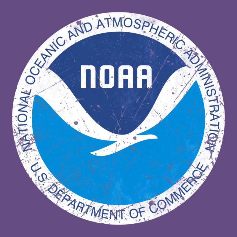 Noaa Vintage Design Vintage Hoodie by tuanDangUi | Teevron