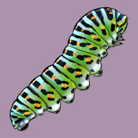 Papilio Machaon Caterpillar Heavyweight Hoodie | Teevron