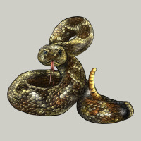 Rattlesnake Heavyweight Hoodie | Teevron