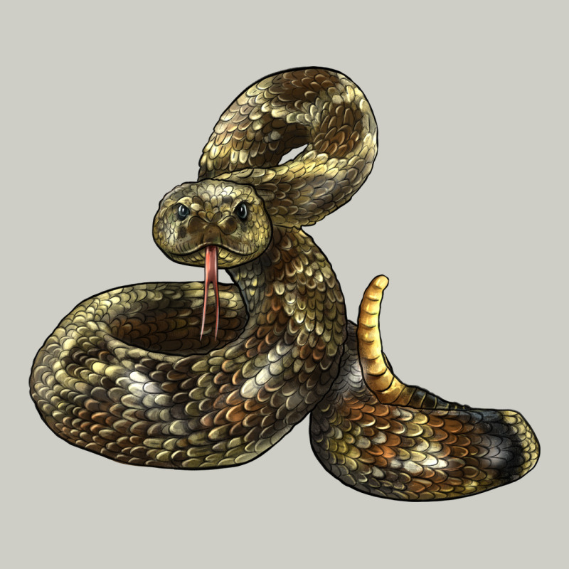 Rattlesnake Heavyweight Hoodie by LillyAllenDesigns | Teevron