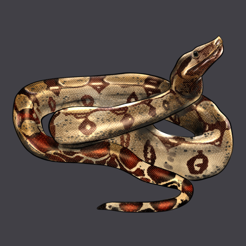 Red Tail Boa Snake Heavyweight Hoodie by LillyAllenDesigns | Teevron