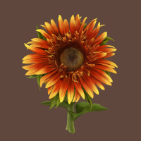 The  Sunflower Classic Tee | Teevron