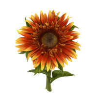 The  Sunflower | Teevron