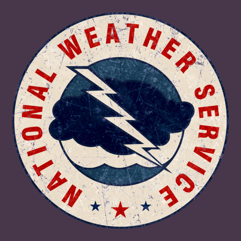 National Weather Service Nws Heavyweight Hoodie by tuanDangUi | Teevron